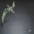 Hasla Emerald Scythe