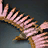 Enhanced Loving Ally's Wings