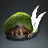 Dawnsdrop Cap