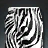 Zebra Splash Swim Shorts