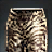 Leopard Roar Swim Shorts