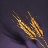 Oat Seed