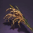 Golden Barley