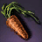 Carrot Seed