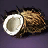 Coconut