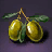 Moringa Fruit