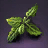 Fernbrake