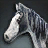 Gray Lilyut Horse