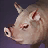 Piglet
