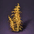 Brown Kelp