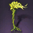 Green Kelp