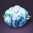 Blue Coral