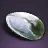 Organic Basil Seed