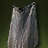 Black Spider Cloak