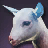 Goat Kid