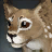 Wild Snowlion Cub