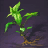 Hornbeam Sapling