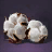 Cotton