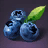 Blueberry