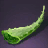 Aloe