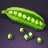 Bean Seed