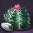 Cactus Seed