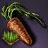 Carrot Seed Bundle