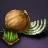 Onion Seed Bundle