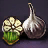 Garlic Seed Bundle