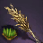 Rice Seed Bundle