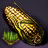 Corn Seed Bundle