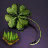Clover Seed Bundle