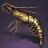 Shrimp