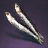 Anchovy