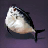 Moonfish