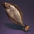 Halibut