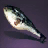 Pufferfish