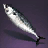 Mackerel