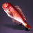 Tilefish