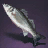 Sea Bass