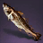 Cod