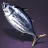 Skipjack Tuna