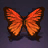 Scarlet Peacock Butterfly