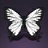 Cabbage White Butterfly