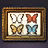 Framed Butterflies