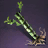 Bamboo Sapling