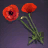 Poppy