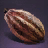 Cacao