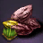 Yam Seed Bundle