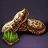Peanut Seed Bundle